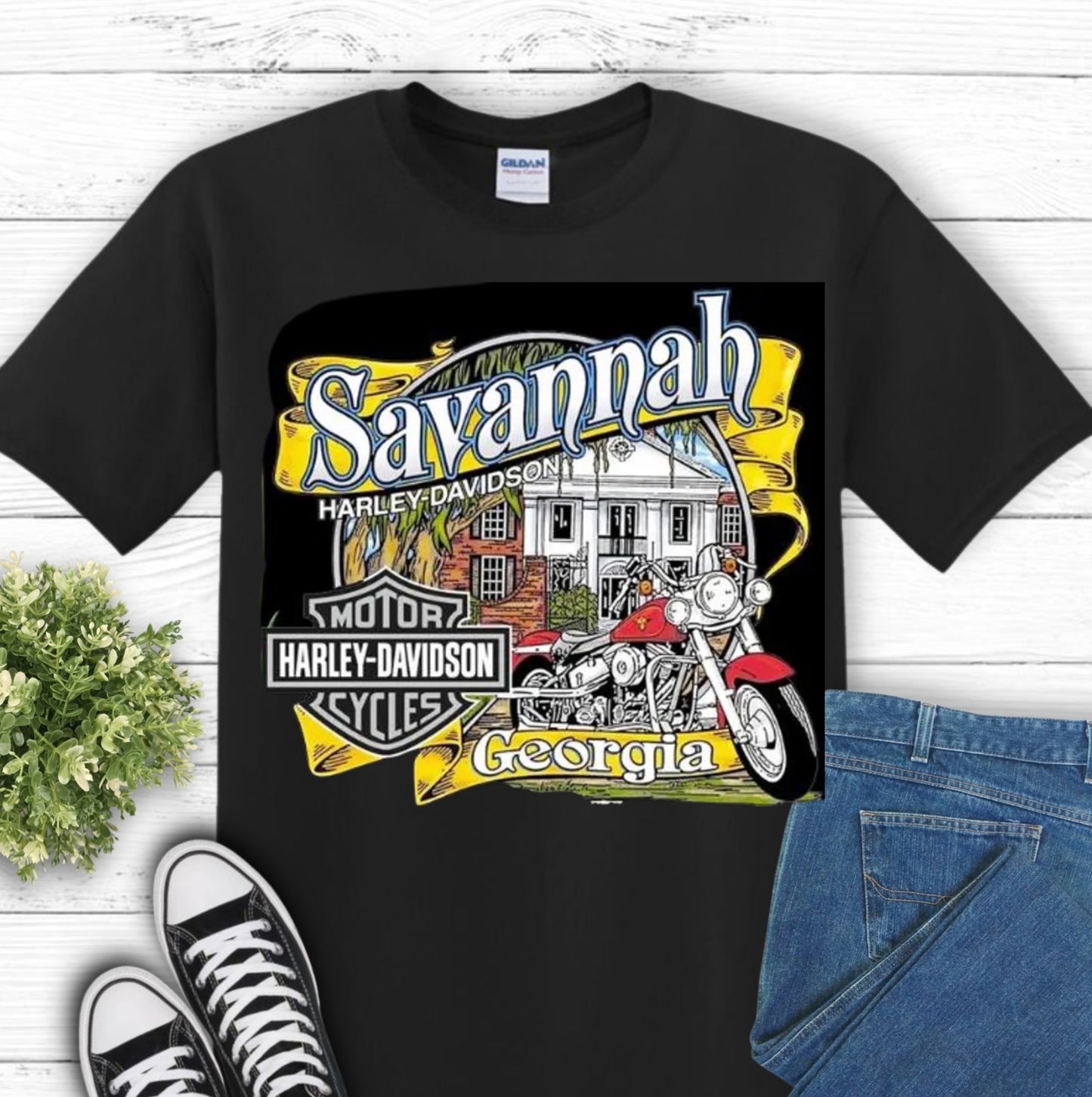 HD SAVANNAH GEORGIA