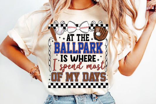 AT THE BALLPARK