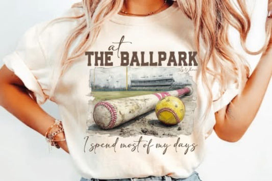 AT THE BALLPARK