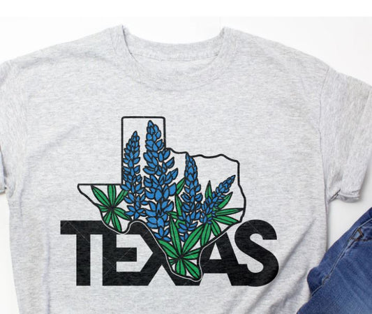 TEXAS BLUEBONNET