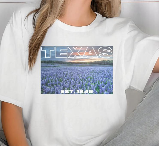 TEXAS BLUEBONNET