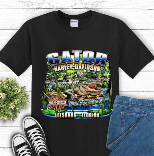 HD GATOR FLORIDA